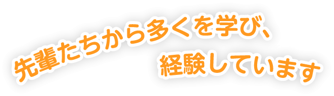 先輩たちから多くを学び、経験しています